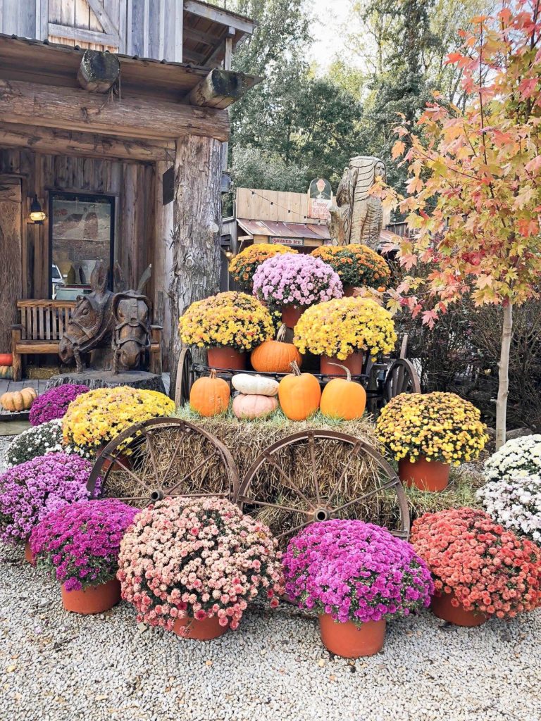 fall decor of orange pumpkins and yellow, pink, and red mums on top of wooden wagon at the outpost pickwick savannah tennessee
