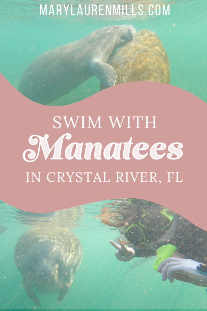 Have you ever wanted to try snorkeling with manatees? This is a bucket list experience that you can find in the beautiful clear blue waters of Crystal River, Florida. Swim with manatees in the calm bay waters and see these gentle animals up close. Here are some tips for your trip to Crystal River, including where to stay, where to eat, and where you can find tours including kayaking, stand-up paddleboarding, snorkeling, and scuba diving with manatees.
